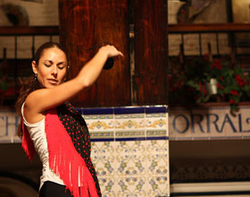 Flamenco Dancer