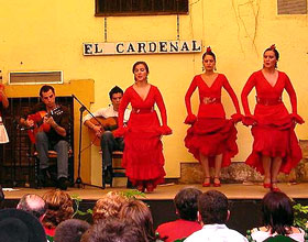 Flamenco Dancers 