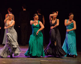 Flamenco Dance Company