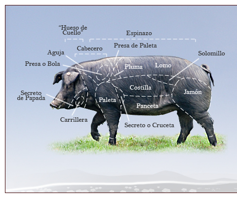 bunker Verdensvindue pad Things Americans need to know about Iberian Spanish "Ham"