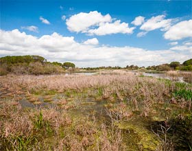 Doñana National Park, Spain