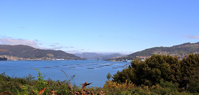 Una bonita vista de la Ría de Vigo