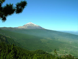 Tenerife