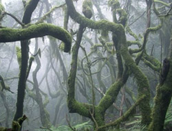 La Gomera, Canary Islands