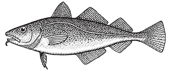 Fish Tales: Cortar el bacalao