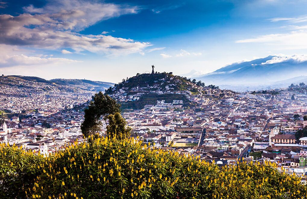Quito survival guide