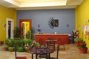 我们的校园 OAXACA 1