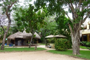 我们位于PLAYA DEL CARMEN的西班牙语学校 DQ 2