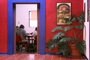 OUR SCHOOL Guanajuato dq 2