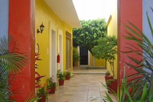 我们的校园 OAXACA 4