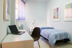 我们学校在格拉纳达（Granada）DQ 17