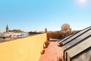 我们的学校 DQ SEVILLA 18