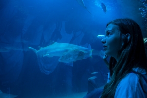 CAMPAMENTO DE VERANO EN VALENCIA 12