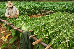 古巴圣地亚哥唐吉诃德语言学校校址 DQ CUBA 6