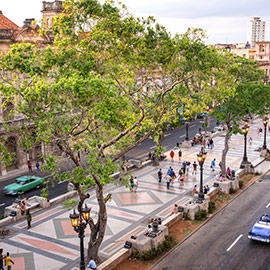 Aprenda espanhol em Havana DQ 10