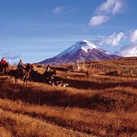 SPANISCH LERNEN IN QUITO 8