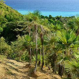 LERNEN SIE SPANISCH IN SANTIAGO DE CUBA DQ 7