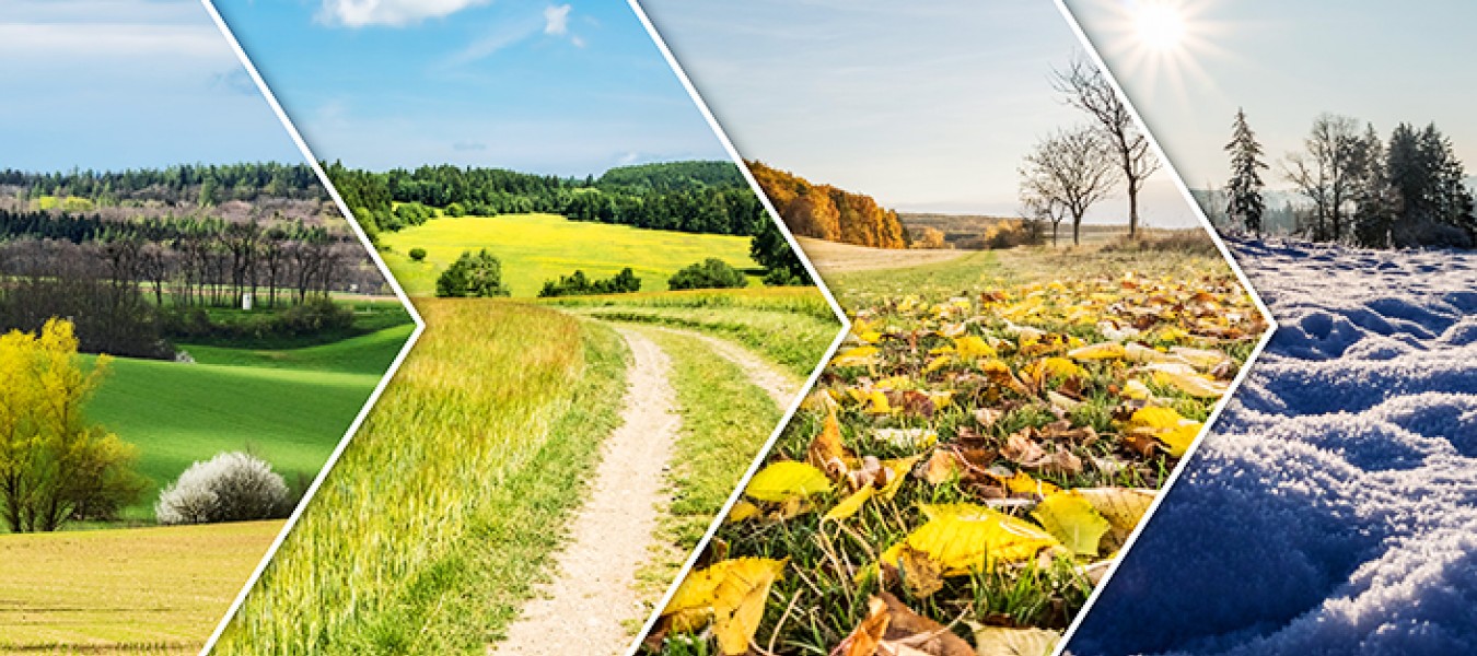 Spanish vocabulary: Spanish seasons and months of the year
