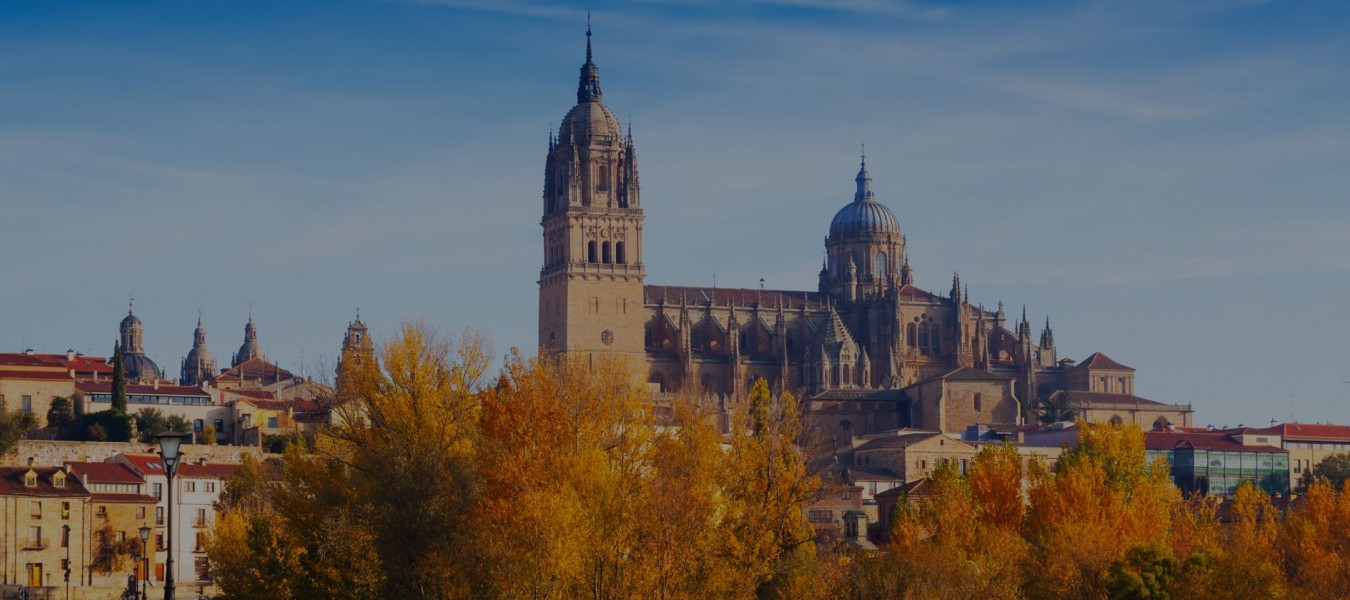 hero-salamanca_5.jpg