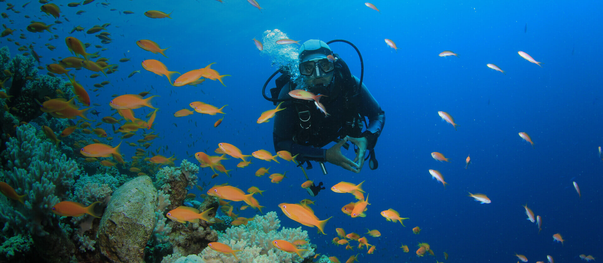 Scuba Diving and Kitesurfing